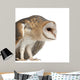 Hunched Barn Owl Wall Decal