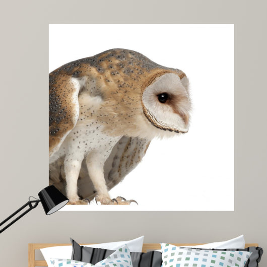 Hunched Barn Owl Wall Decal
