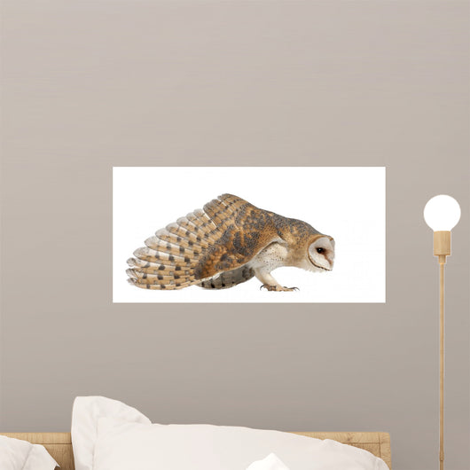 Landing Barn Owl Wall Decal