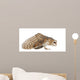 Landing Barn Owl Wall Decal