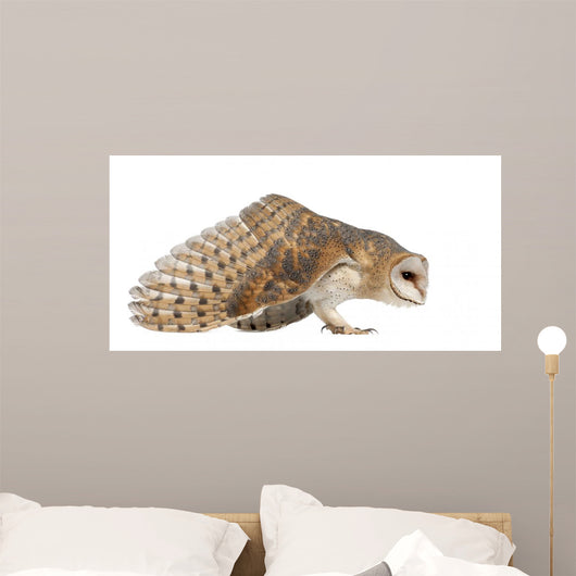 Landing Barn Owl Wall Decal