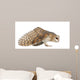 Landing Barn Owl Wall Decal