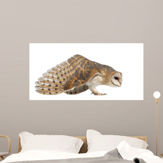 Landing Barn Owl Wall Decal