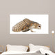 Landing Barn Owl Wall Decal