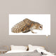 Landing Barn Owl Wall Decal