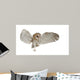 Barn Owl Tyto Alba 4 Months Old Wall Decal