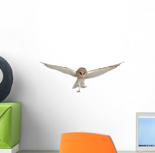Flying Barn Owl Wall Decal