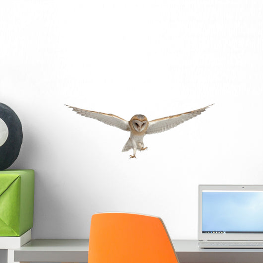 Flying Barn Owl Wall Decal