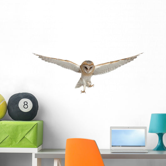 Flying Barn Owl Wall Decal