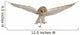 Flying Barn Owl Wall Decal