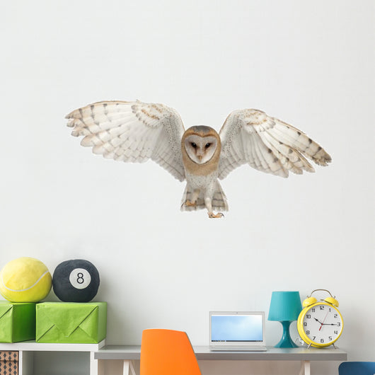 Barn Owl In-Flight Wall Decal