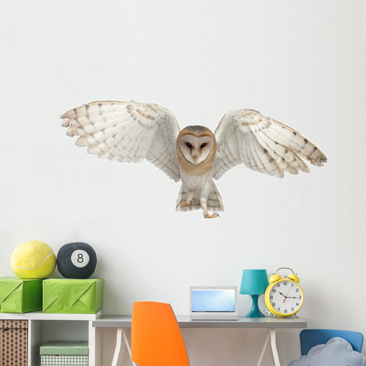 Barn Owl In-Flight Wall Decal