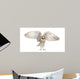 Barn Owl Tyto Alba 4 Months Old Wall Decal