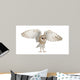 Barn Owl Tyto Alba 4 Months Old Wall Decal