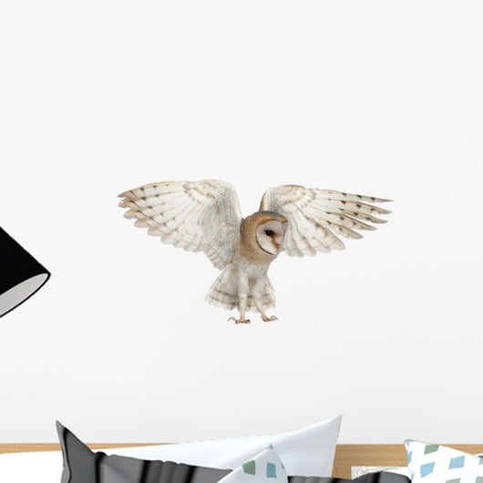 Spread Wings Barn Owl Wall Decal