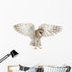 Spread Wings Barn Owl Wall Decal