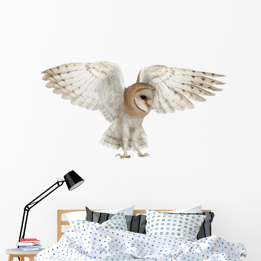 Spread Wings Barn Owl Wall Decal