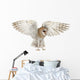 Spread Wings Barn Owl Wall Decal
