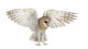 Spread Wings Barn Owl Wall Decal