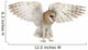 Spread Wings Barn Owl Wall Decal