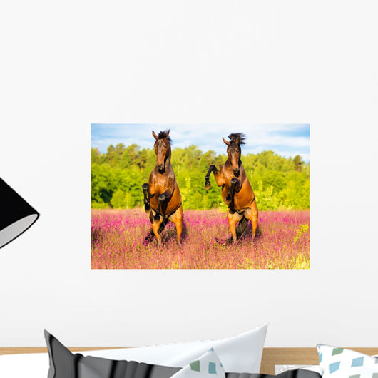 Two Horses Rearing up Wall Decal