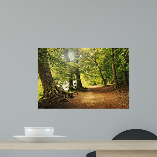 Forest Path Wall Decal