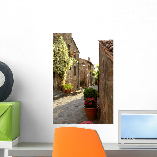 Narrow Alley with Old Wall Decal