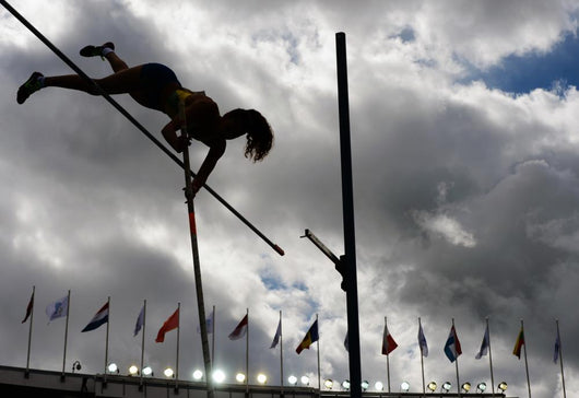 Pole Vault Wall Decal
