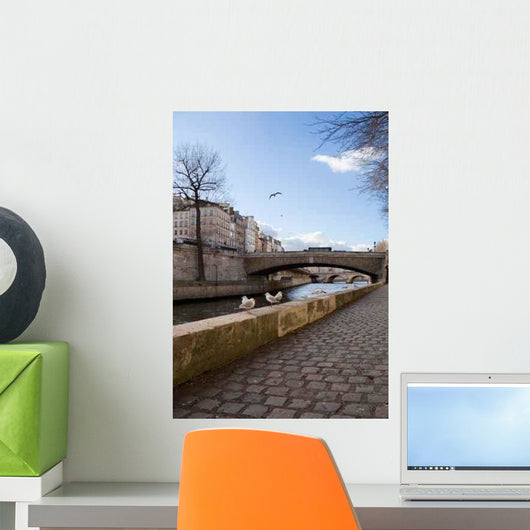 Gulls Paris Wall Decal