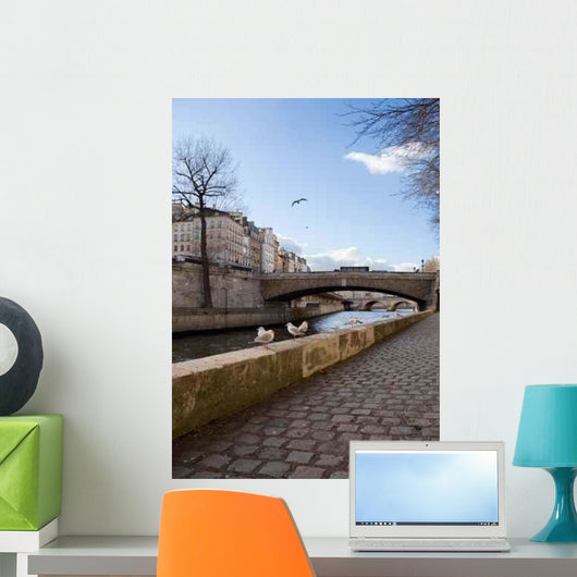 Gulls Paris Wall Decal