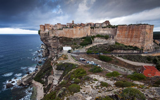 Bonifacio City Wall Decal