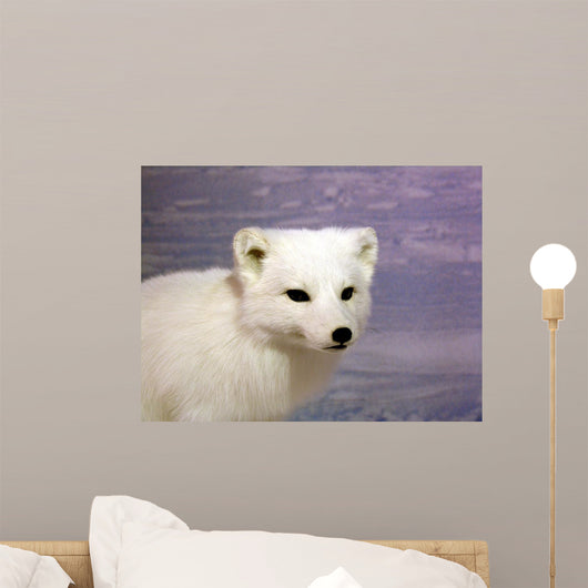 Arctic Fox Wall Decal