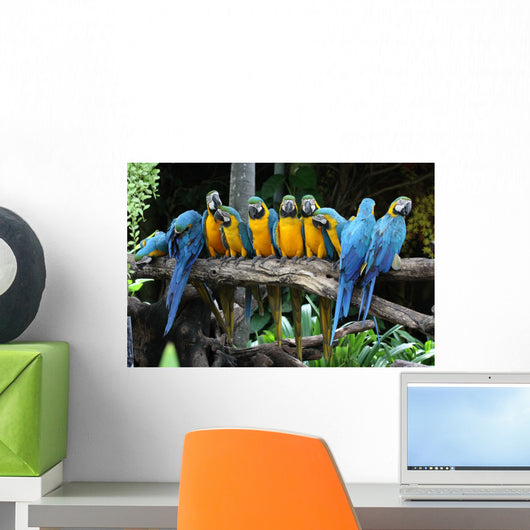 Macaw Tree