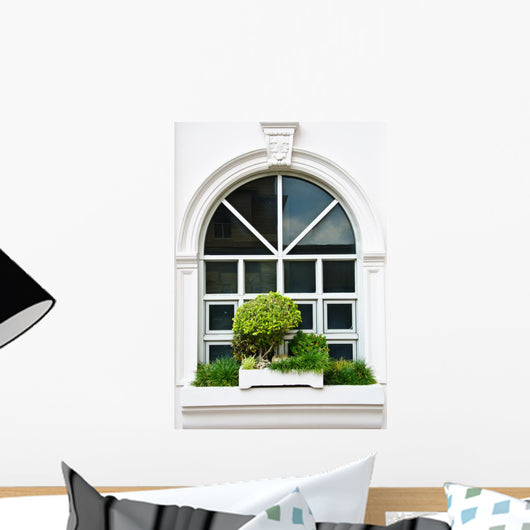 White Window with Bush