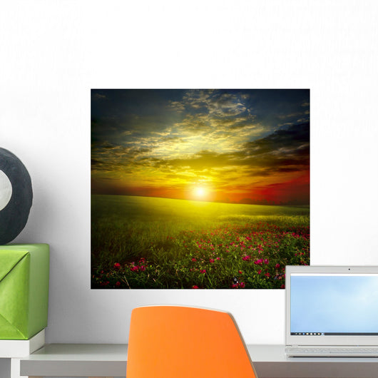 Green Meadow Sunset with