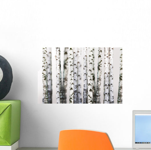 Natural Birch Wallpaper