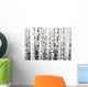 Natural Birch Wallpaper