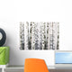 Natural Birch Wallpaper