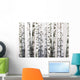 Natural Birch Wallpaper