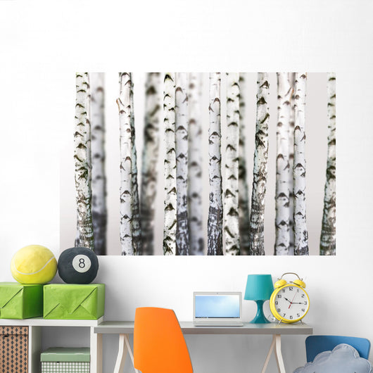 Natural Birch Wallpaper