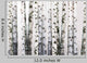 Natural Birch Wallpaper