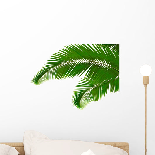Palm leaves on white background. Vector. Wall Decal