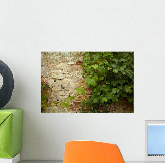 Stone Wall and Green