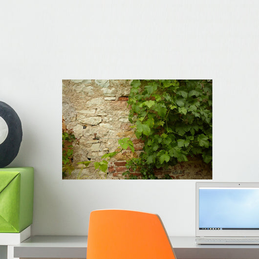 Stone Wall and Green
