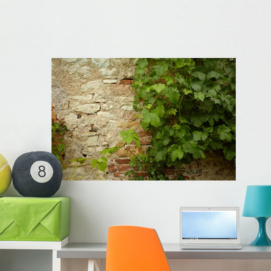 Stone Wall and Green