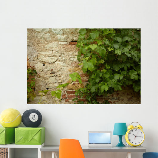 Stone Wall and Green