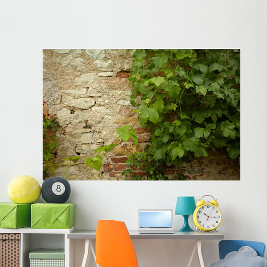 Stone Wall and Green