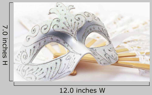 Carnival Accessories