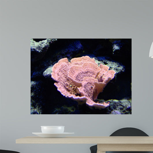 Coral Wall Mural