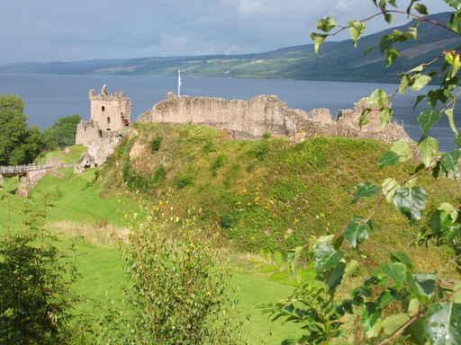 Castle Wall Decal